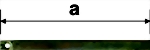 11362-medium.jpg 11362-medium.jpg